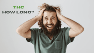 How Long Does THC Stay in Your Hair?