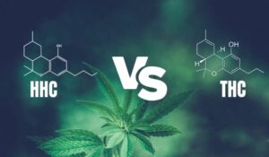 HHC vs THC: There’s a Twist